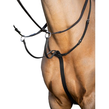 Martingaal met ringen LeMieux Arika