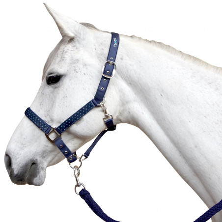 Set halster en longe Varna Flags & Cup