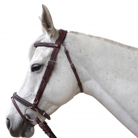 Hoofdstel Flags & Cup Aachen