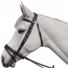 Hoofdstel Flags & Cup Aachen - Zwart