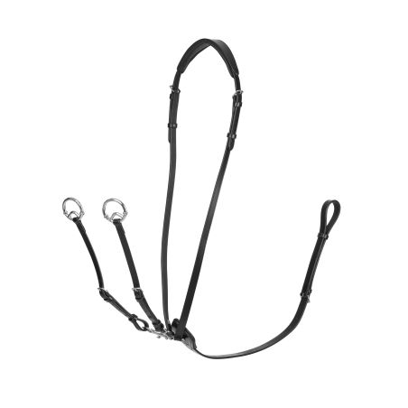 Martingaal met ringen Kudos LeMieux