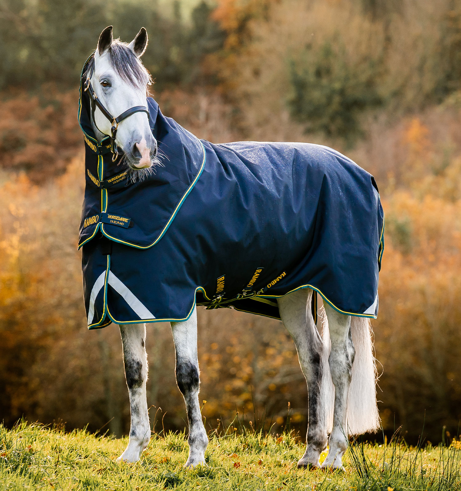 Couverture Horseware Rambo Duo Force 2.0 100 g avec liners 100 et 300 g