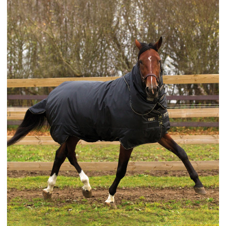 Horseware Trot Plus deken met halsstuk 350g