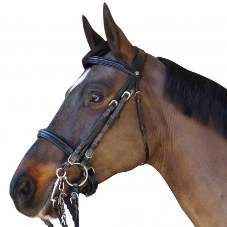 Bruid Trek Terug Euro Chetak