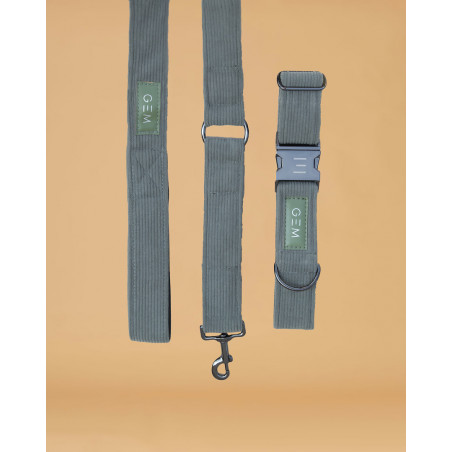 Pack Halsband & Lijn GEM