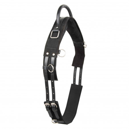 Voltigesingel Imperial Riding Vito