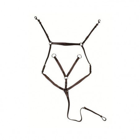 Borsttuig zilverkleurige beslag HKM