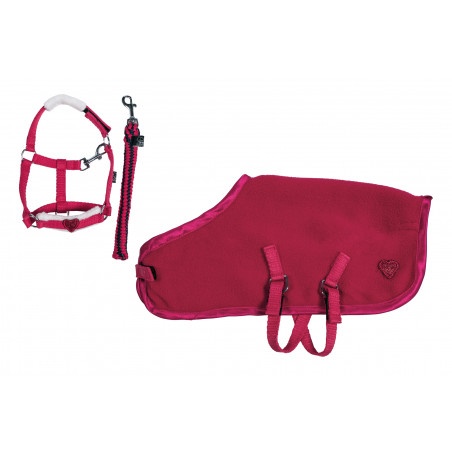 Startset Cuddle Pony HKM