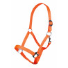 Halster Stars Economy Softice HKM - Fluoro oranje
