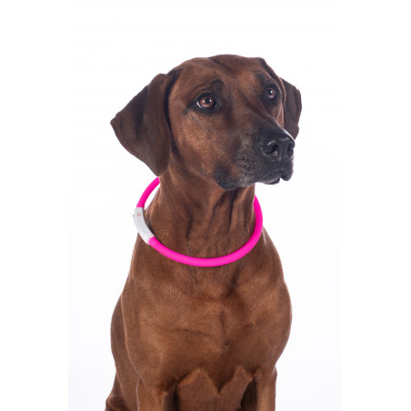 LED-lichtgevende halsband voor honden HKM