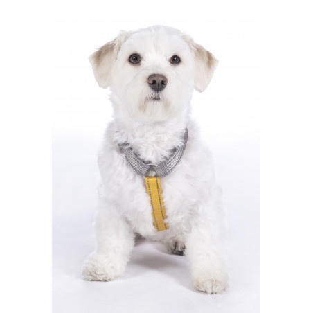 Hondentuig Anam Cara Basic nylon HKM