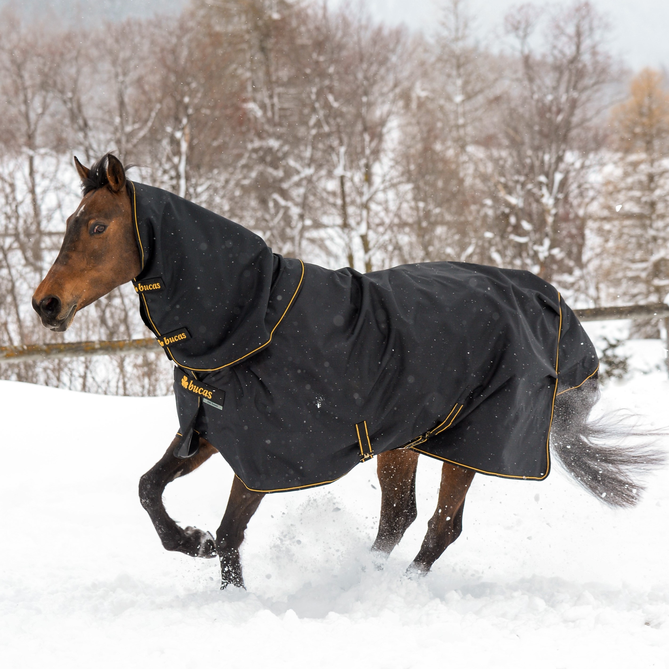 Nekstuk Bucas Irish Combi Neck Zwart / goud