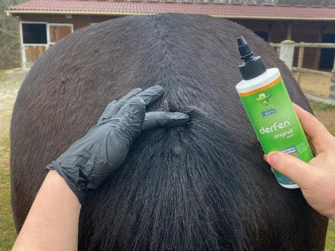 Lotion Animaderm Original Lotion Animaderm Original