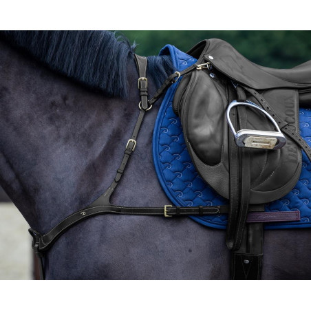 Anatomische Jachtborsttuig Dy'on D Collection