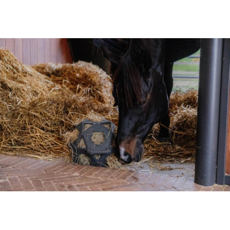 Speelbal / hooirol Kentucky