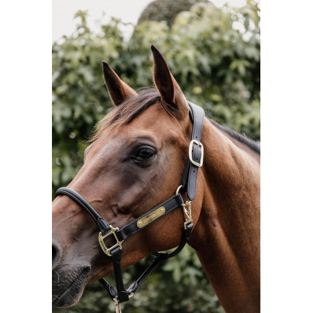 Anatomisch Lederen Halster Kentucky