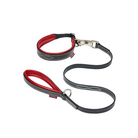 Halsband en riem voor puppy LeMieux Toy