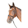 Bridon Cabourg Combiné Privilege Ruitersport - Bruin