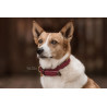 Halsband voor hond Gevlochten Nylon Kentucky - Bordeaux