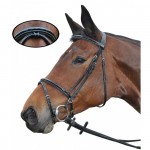 Bridon Nice Gecombineerd Privilege Paardrijden