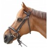 Bridon Pull Back Lacanau Privilege Equitation - Zwart