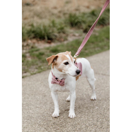 Hondenriem Velvet 120 cm Kentucky