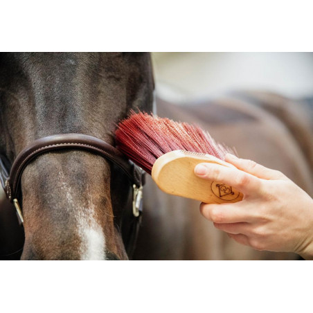 Middellange kurkentrekker Kentucky