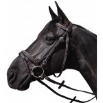 Wellington Combinatiebit Flags & Cup