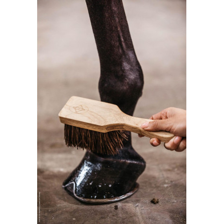 Hoefborstel Kentucky