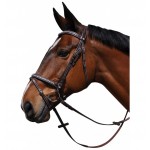 Teugel Zurich Gecombineerd Flags & Cup