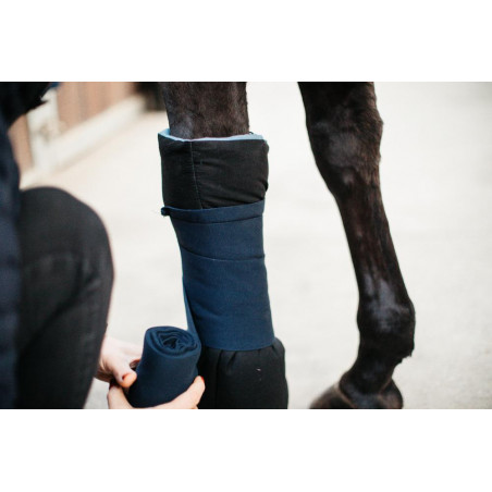 Amerikaanse katoen Magnetisch Recuptex, set van 2 Kentucky