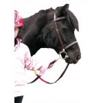 Educatief Halster Chetak Shetland