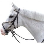 Gevlochten hoofdstel met gekruiste neusriem Chetak