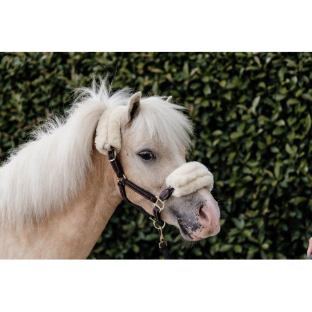 Schapenvacht halster van leer Kentucky