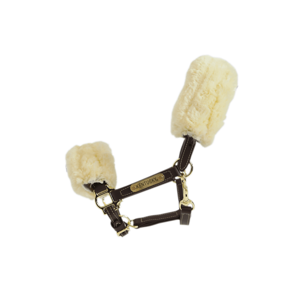 Schapenvacht halster van leer Kentucky Bruin