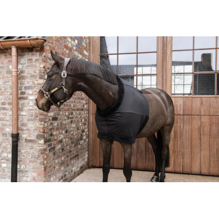 Borstbeschermer Kentucky