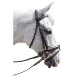 Bridon Pull Back Euro Chetak