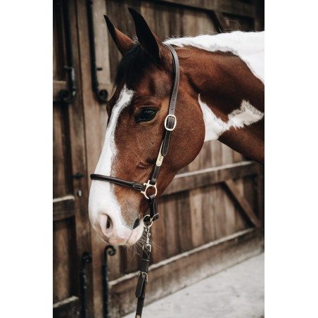 Kentucky lederen halster van Pansage