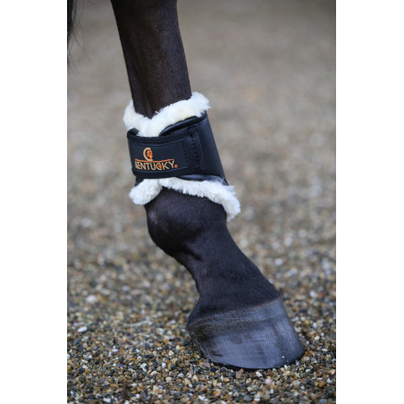 Gesloten peesbeschermers Leer achter kort Kentucky