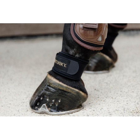 Bescherm-pijp Kentucky