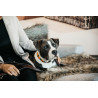 Halsband voor honden van handgemaakte parels Kentucky - Puur oranje