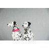 Halsband voor honden Jacquard Kentucky - Roze