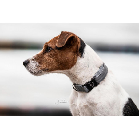 Halsband voor hond Reflecterend Kentucky