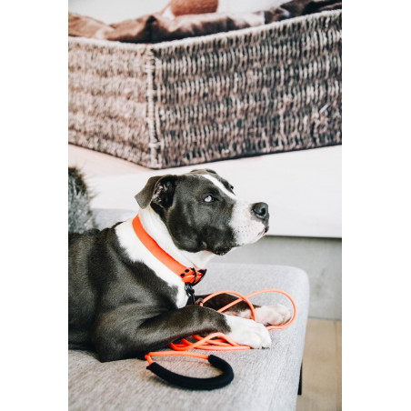 Halsband voor honden Soft Rubber Kentucky