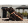 Halsband voor hond Vegan Leather Kentucky - Perzik