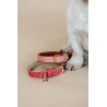 Halsband voor hond Vegan Leather Kentucky - Rood
