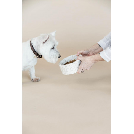 Hondenvoerbak van terrazzo-steen Kentucky