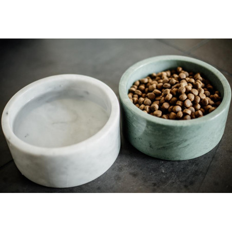 Marmeren hondenbak Kentucky