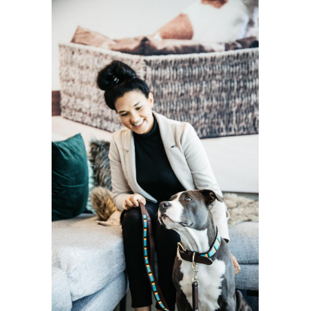 Hondenriem in handgemaakte Parels Kentucky