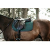 Tapijt Kentucky Color Edition Leather springen - Olijfgroen